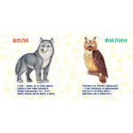 Книжки - картонки. Лесные животные — изображение 4