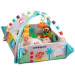 Развивающий коврик-манеж Activity Gym & Ball Pit