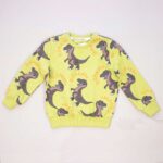 Костюм 2ка Pollito Dinosaur Roar — изображение 2