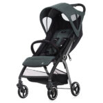 Коляска Evenflo Stride D639 W9DB с 0+ мес
