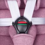 Автокресло RANT UB619 NITRO isofix Grey-Pink — изображение 5