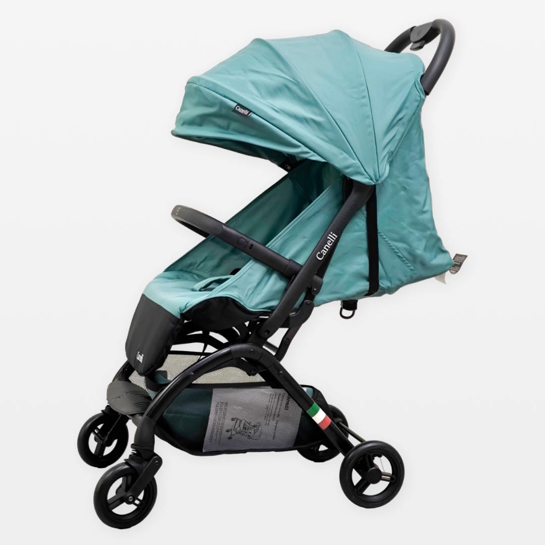 0601f77fedb02b787630227105676ec0_092224120251.jpeg Коляска Canelli S650 Turquoise — изображение 1
