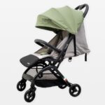 Коляска Canelli S650 Green
