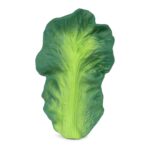 Прорезыватель Oli&Carol KENDALL THE KALE 0+ мес