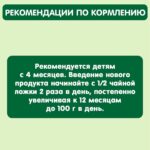 Пюре GIPOРО Яблоко 90 гр 4+ мес — изображение 4