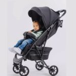 Коляска Rant Largo RA054 Onyx Black — изображение 2