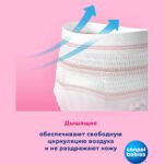 Послеродовые трусики Canpol babies одноразовые 2-в-1 дышащие ультраабсорбирующие S/M 5 шт — изображение 2